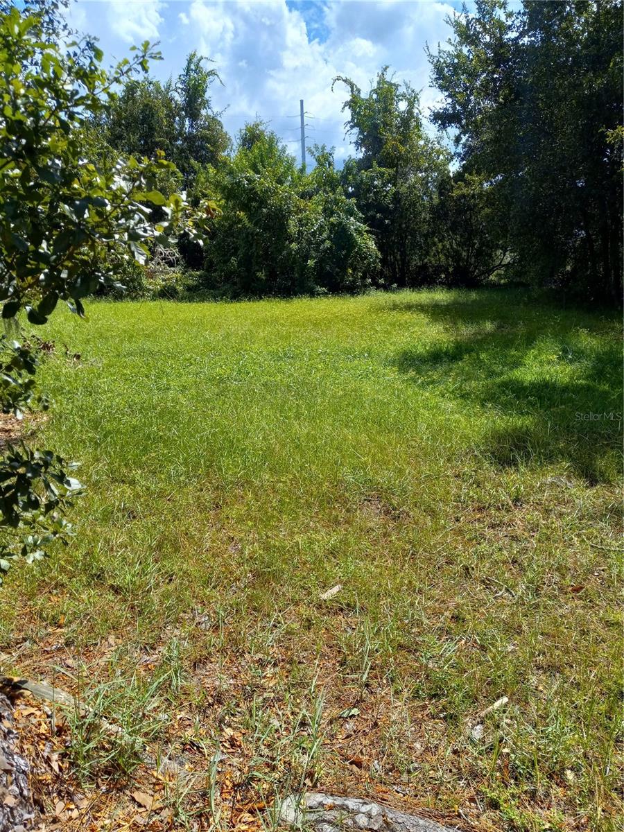 2902 W Lutz Lake Fern Rd Property Photo 17