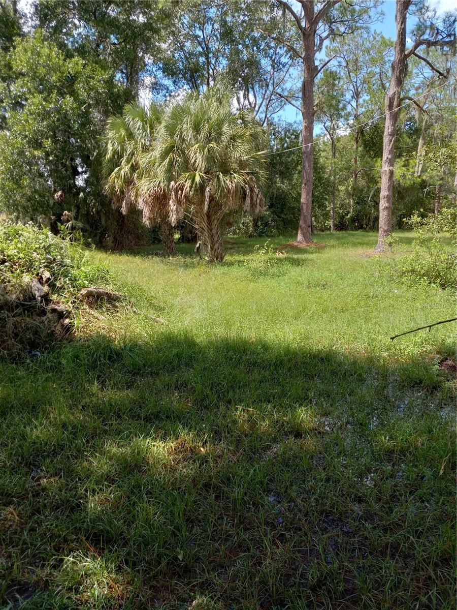 2902 W Lutz Lake Fern Rd Property Photo 18