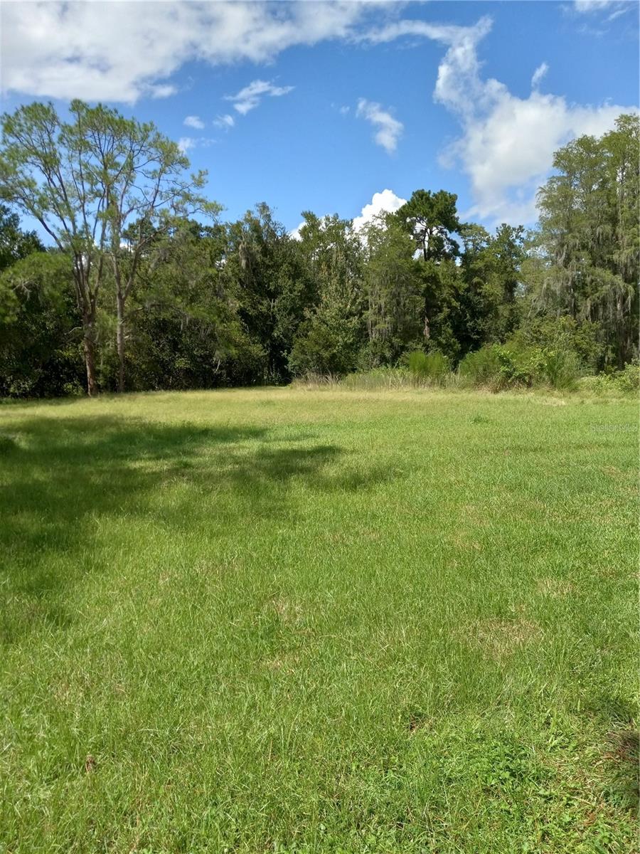 2902 W Lutz Lake Fern Rd Property Photo 20