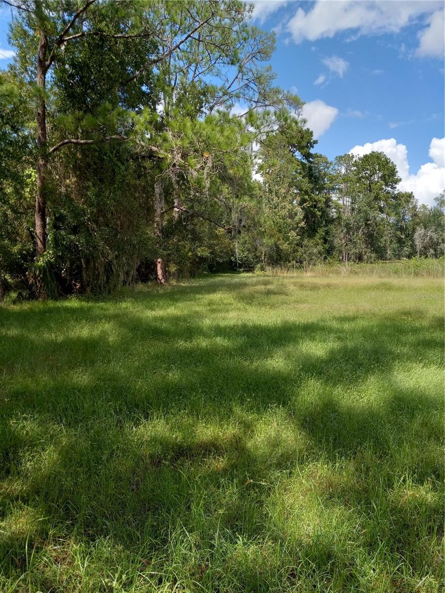 2902 W Lutz Lake Fern Rd Property Photo 22