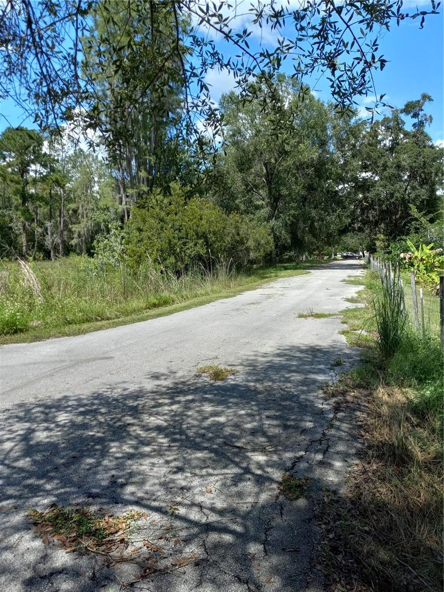 2902 W Lutz Lake Fern Rd Property Photo 23