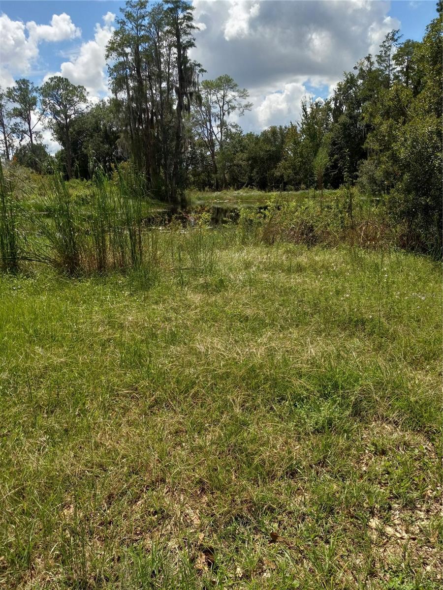 2902 W Lutz Lake Fern Rd Property Photo 24