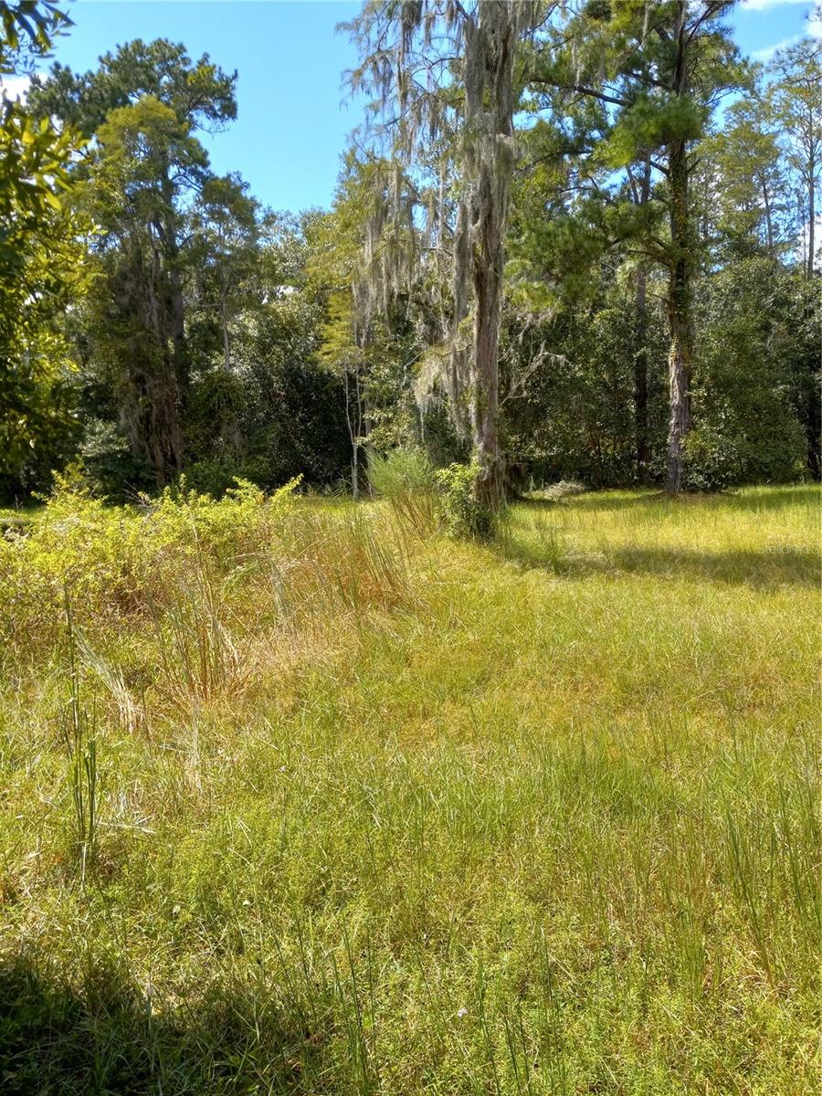 2902 W Lutz Lake Fern Rd Property Photo 25