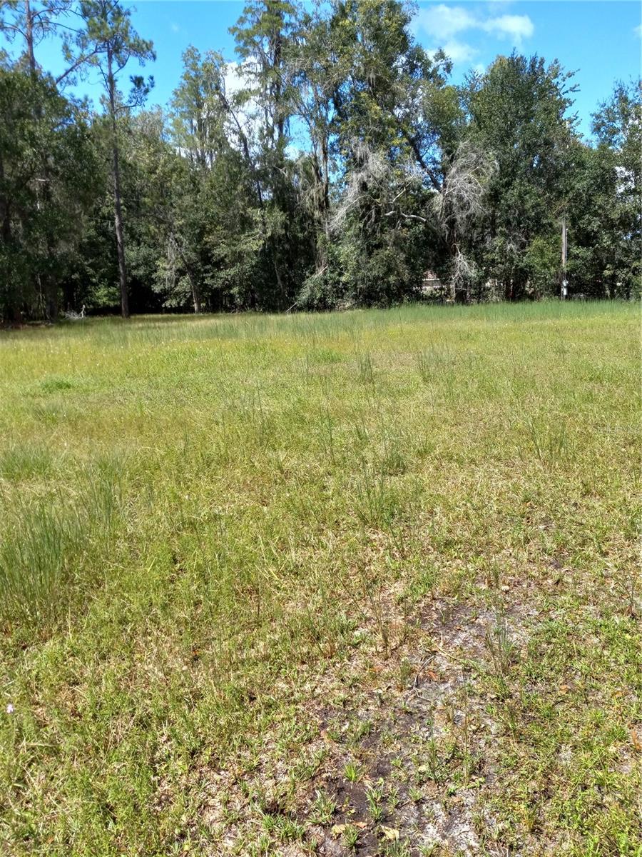 2902 W Lutz Lake Fern Rd Property Photo 26