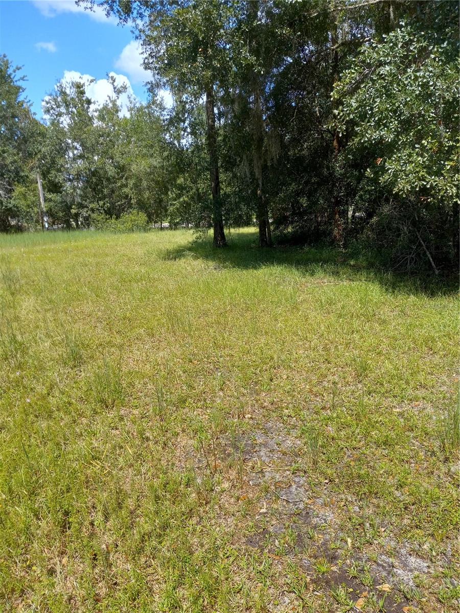2902 W Lutz Lake Fern Rd Property Photo 27