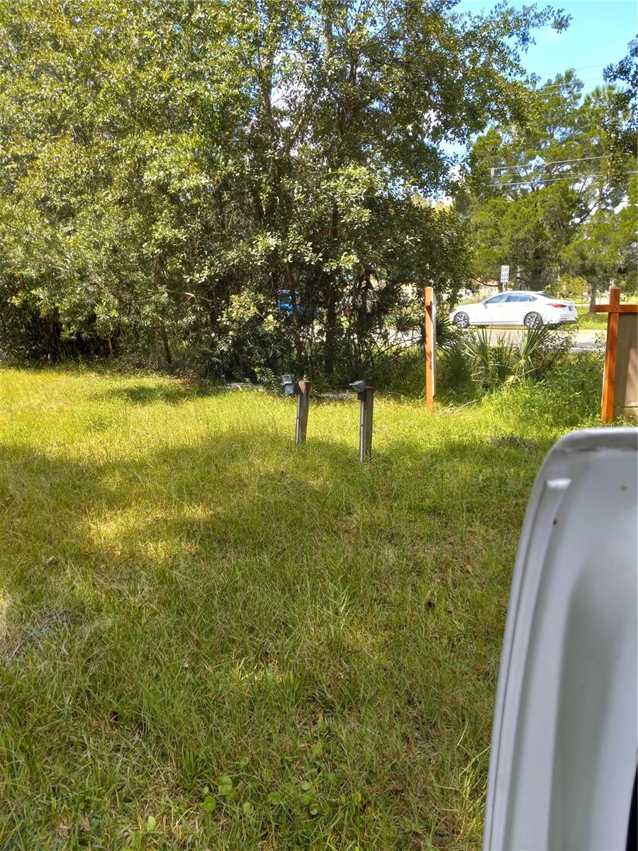 2902 W Lutz Lake Fern Rd Property Photo 28