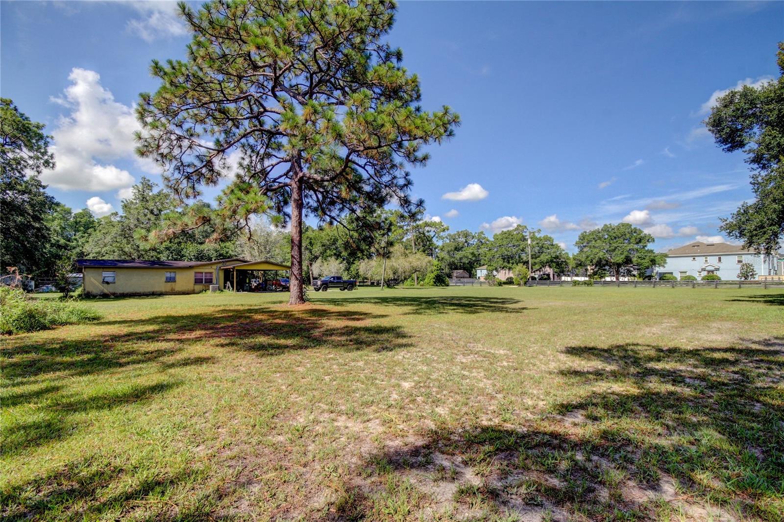 12853 Olive Jones Rd Property Photo 11
