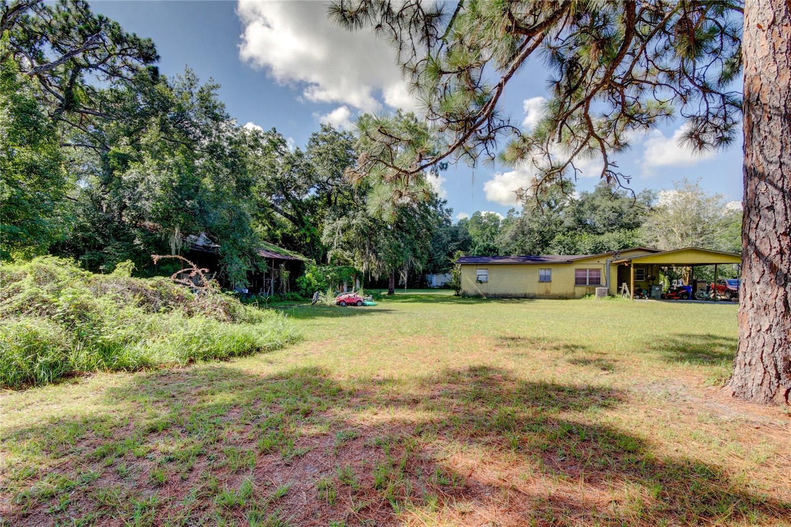 12853 Olive Jones Rd Property Photo 20