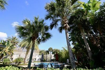 10330 Estero Bay Ln Property Photo 23