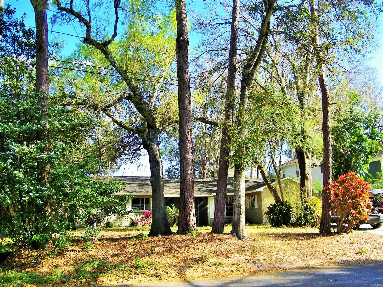 17017 Paula Lane Property Photo 1