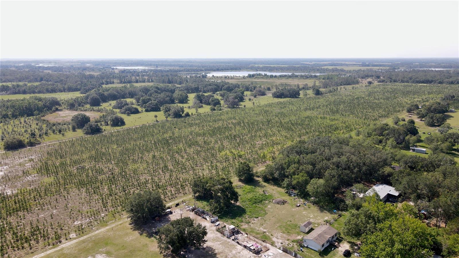 T3445660 Property Photo 8