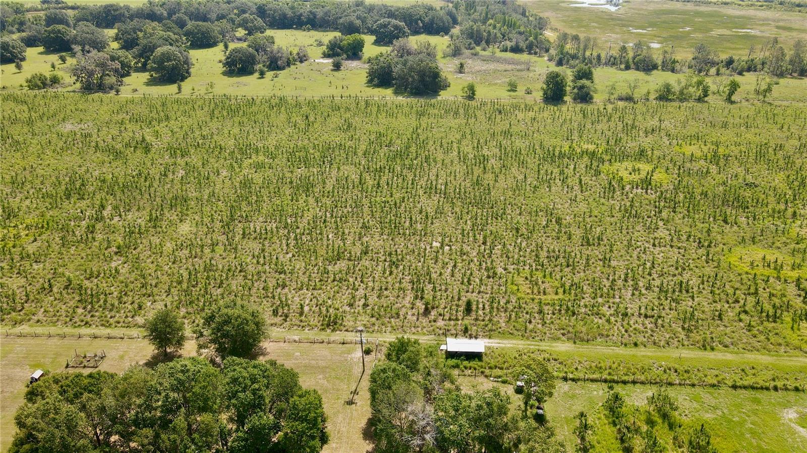 T3445660 Property Photo 11