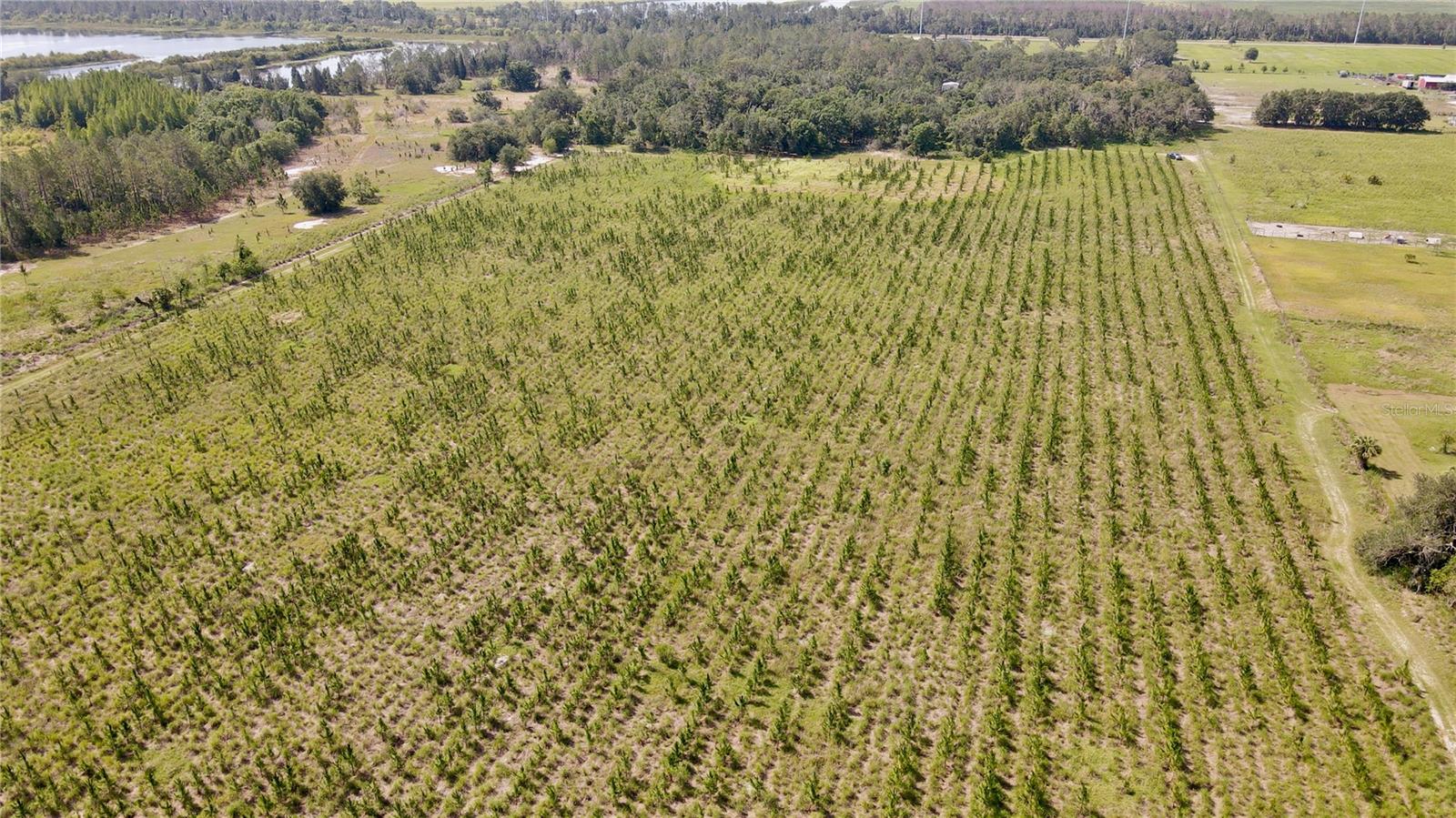 T3445660 Property Photo 12