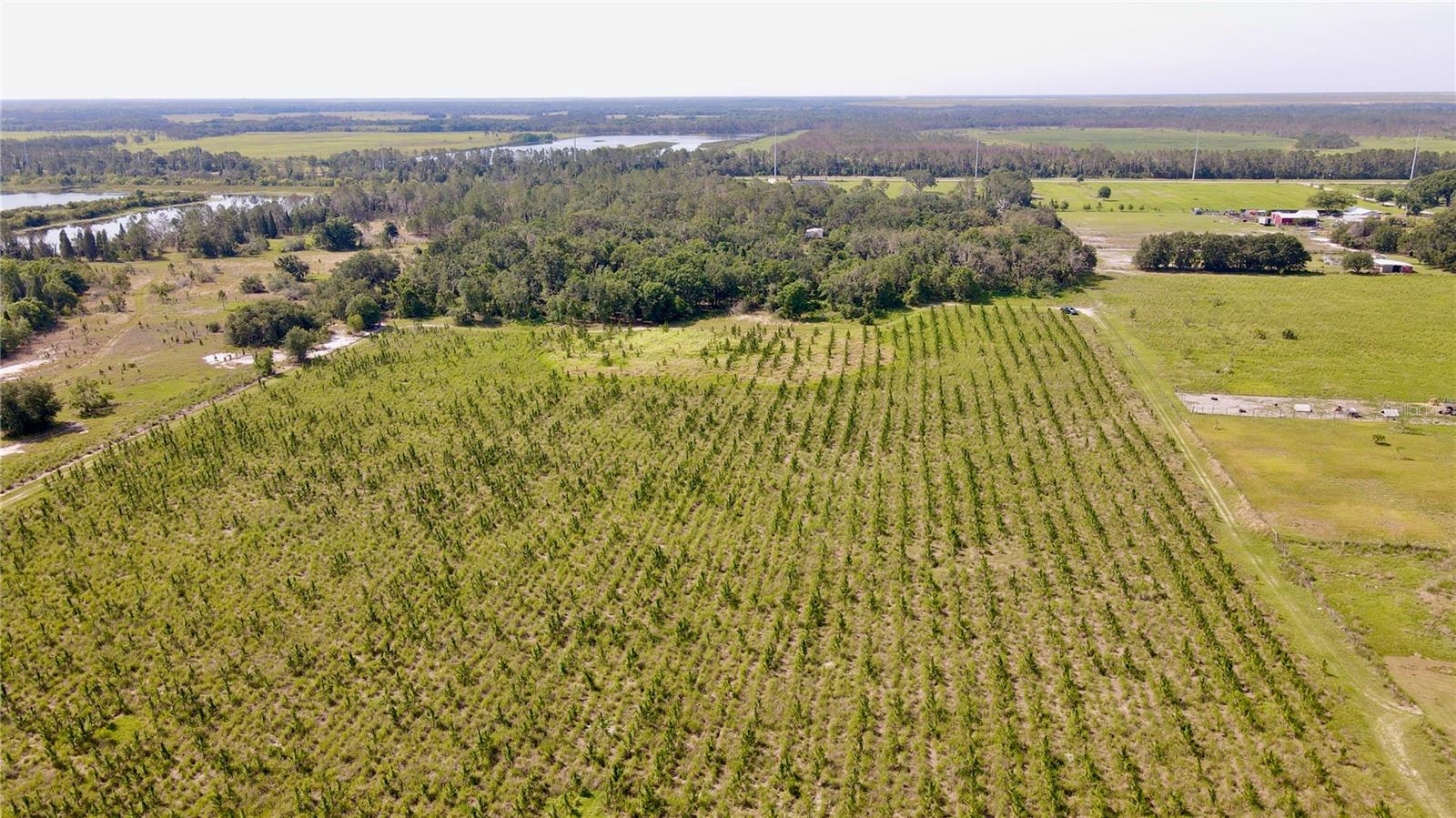 T3445660 Property Photo 14