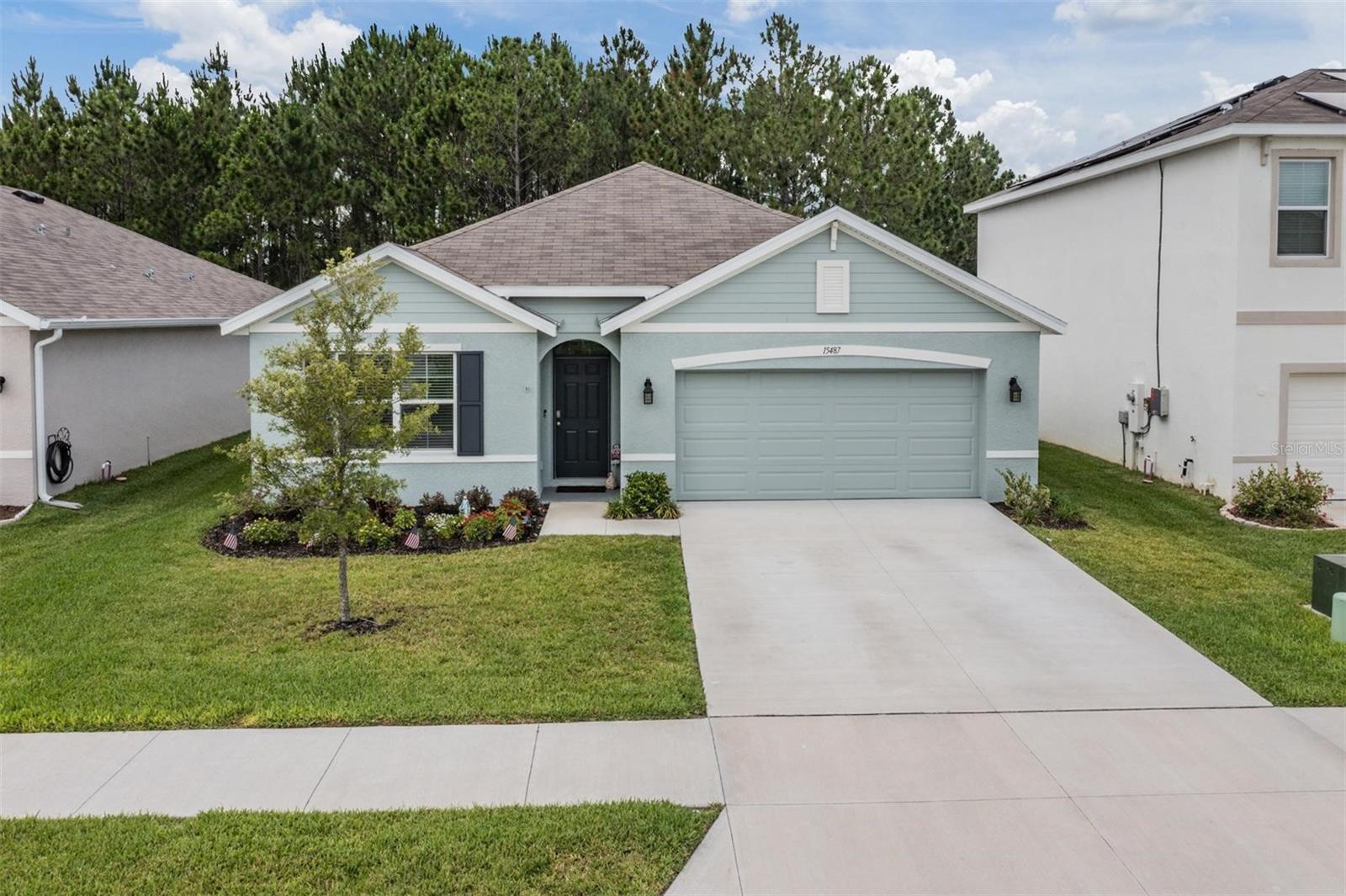 15487 Black Pepper Lane Property Photo 1