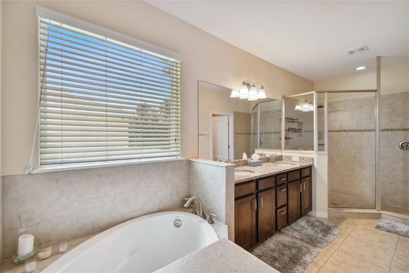 10413 Hampton Meadow Way Property Photo 42
