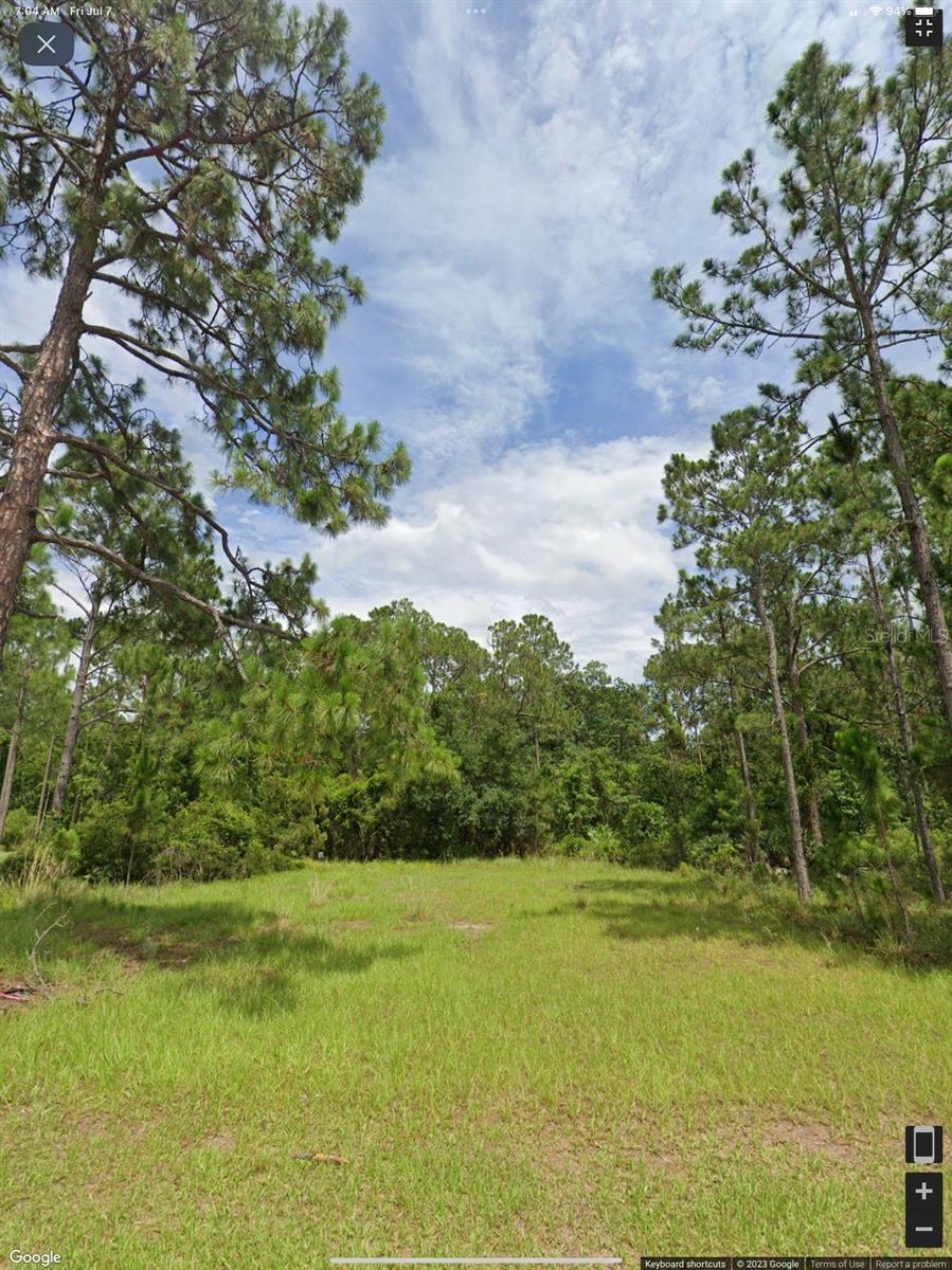 7141 Oak Glen Trl Property Photo 1