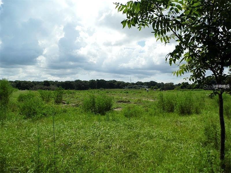 10201 Timmons Rd Property Photo 2