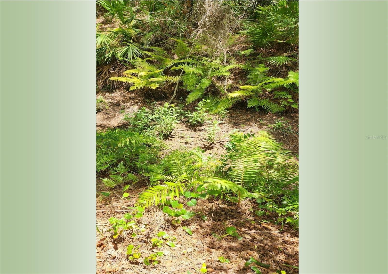 1130 OXBOW ROAD Property Photo 1