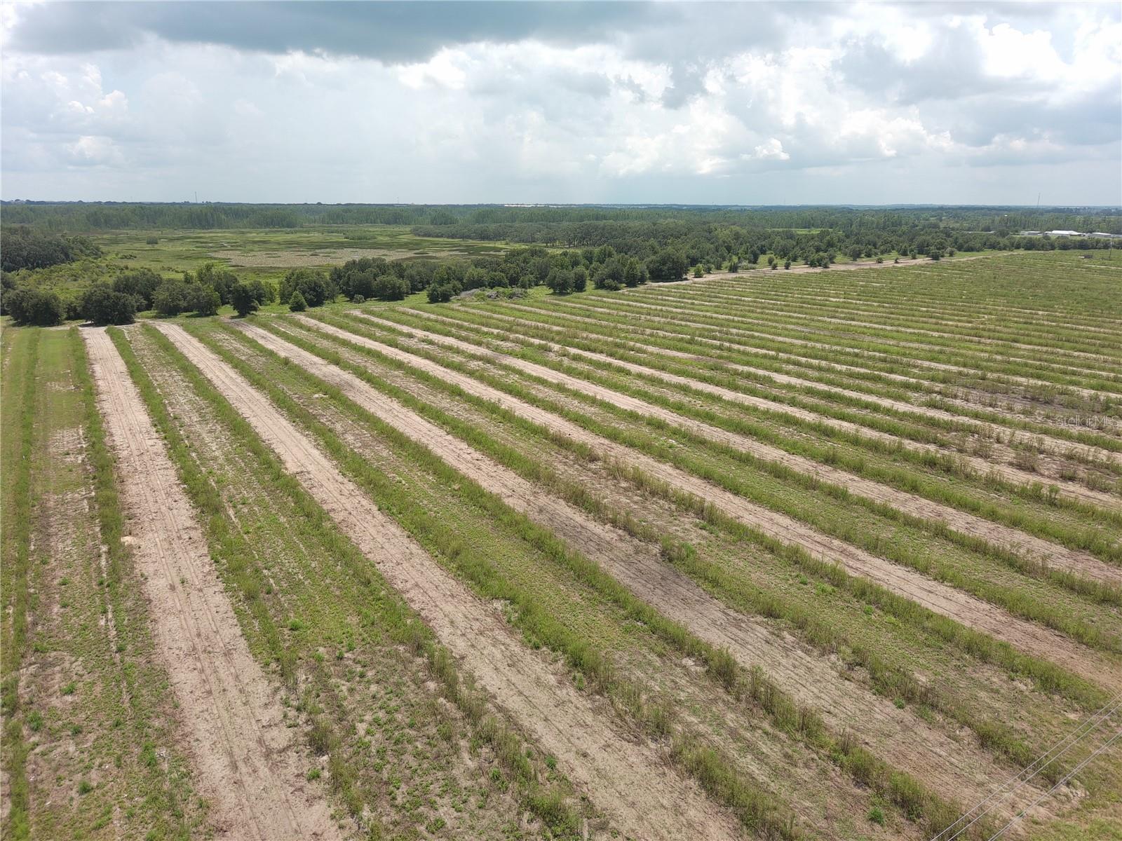 000 Kuder Ranch Rd Property Photo 1