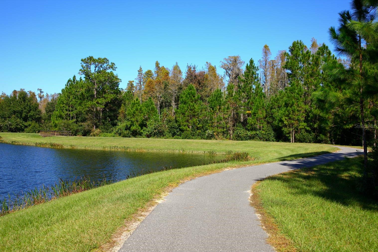 22075 Blazing Star Run Property Photo 13