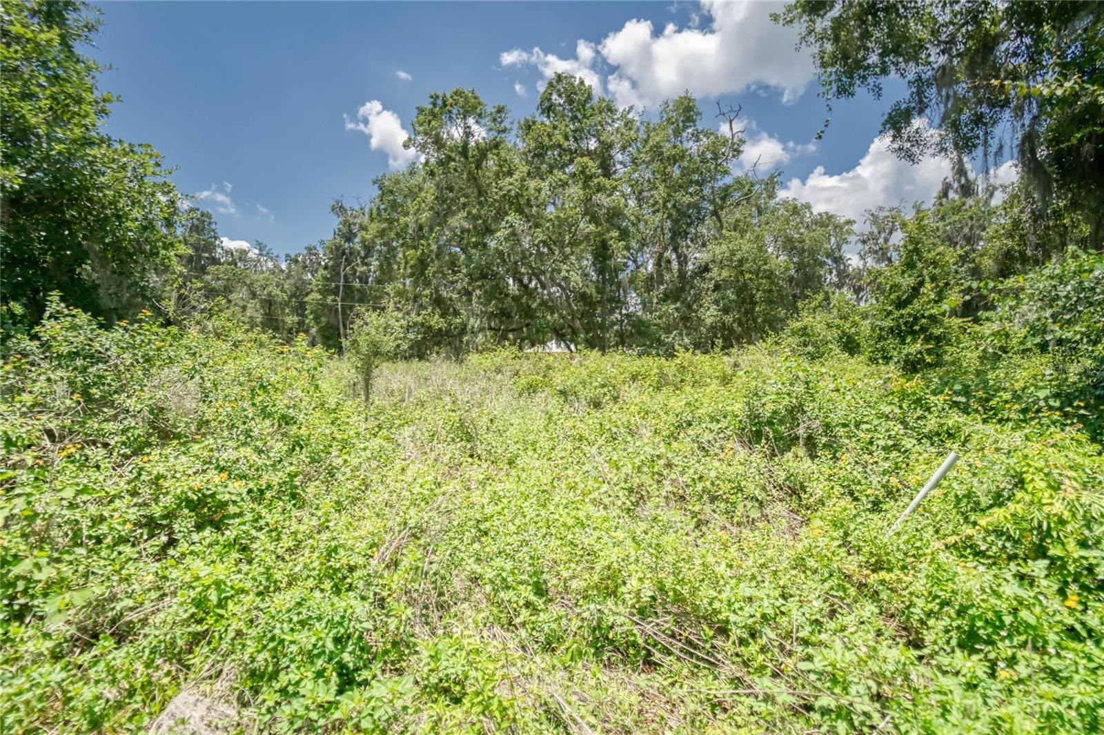 3113 N Wilder Rd Property Photo 24