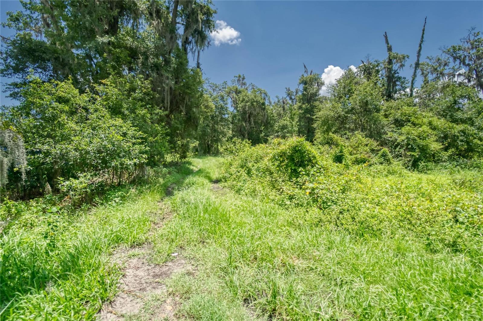 3113 N Wilder Rd Property Photo 27