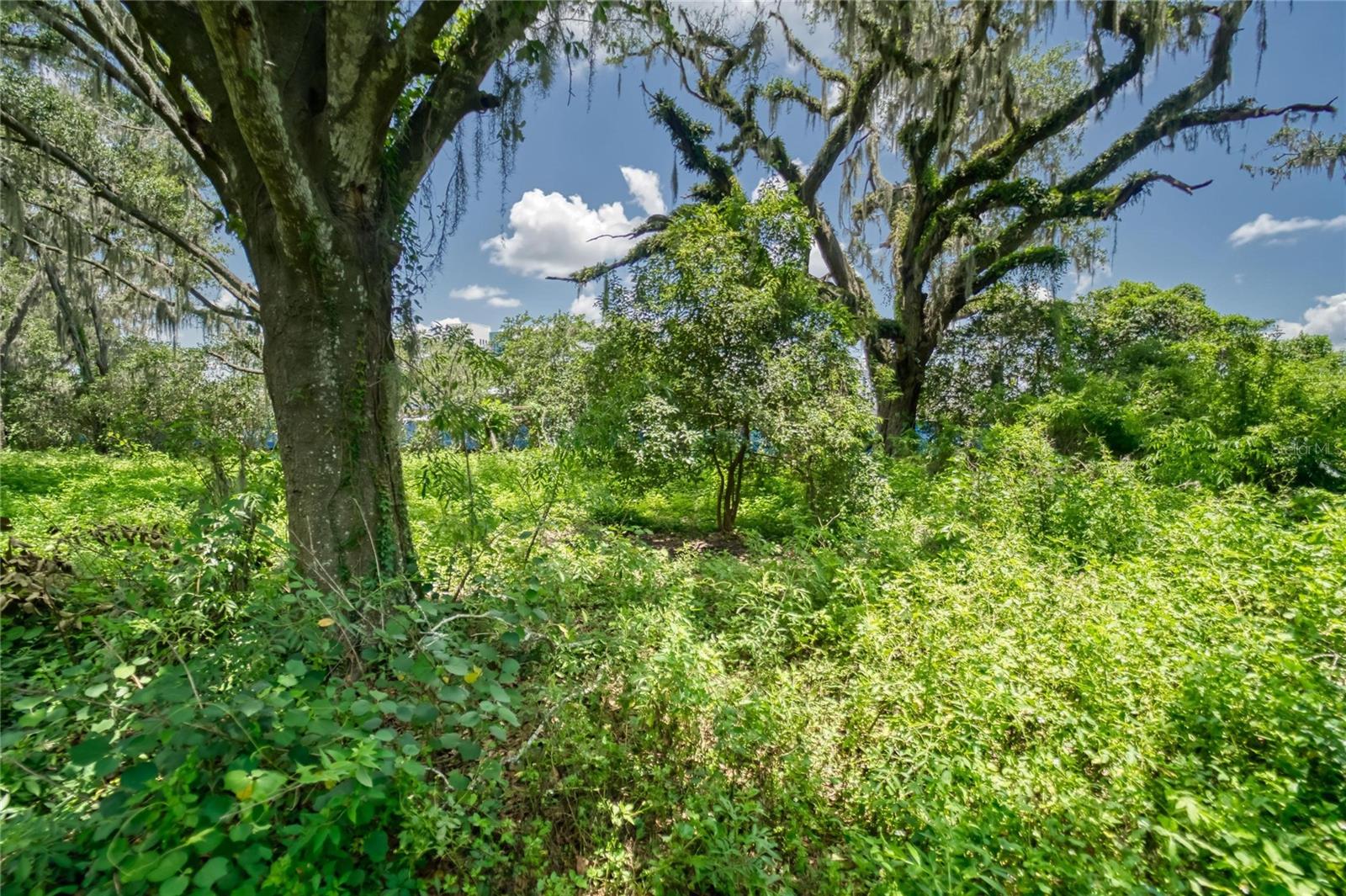 3113 N Wilder Rd Property Photo 28