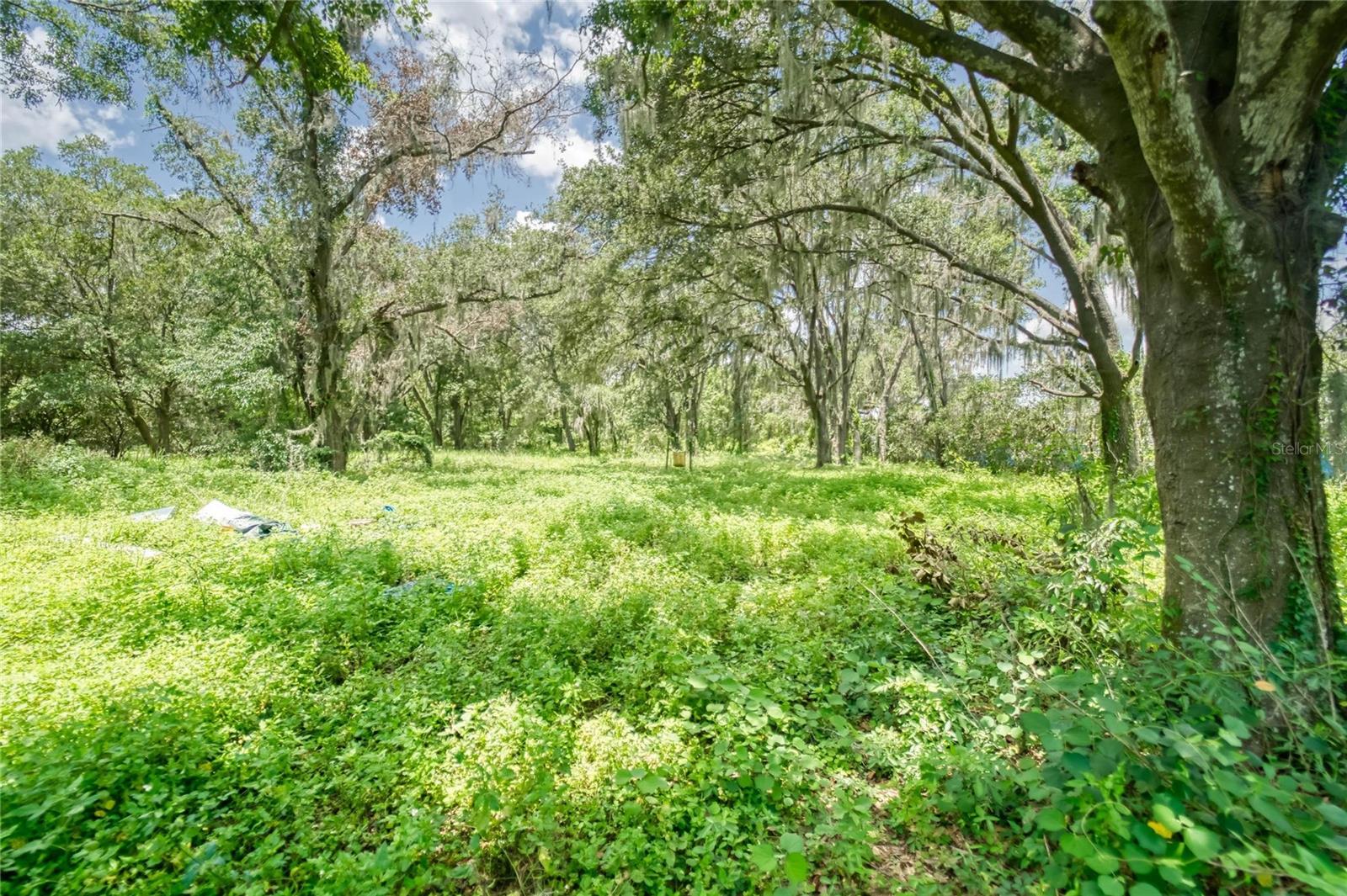 3113 N Wilder Rd Property Photo 30