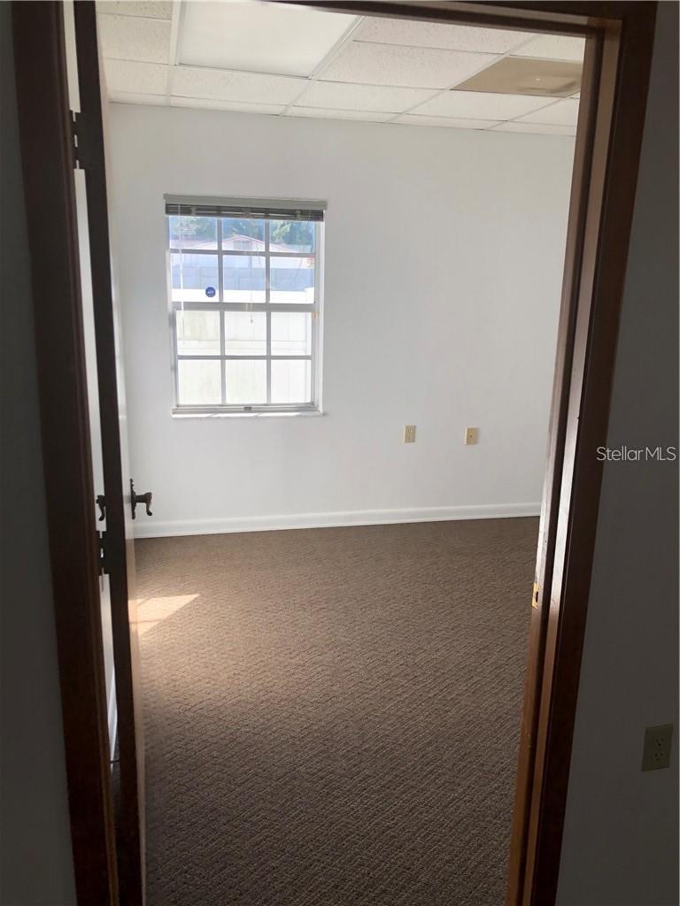 6718 N Himes Avenue Property Photo 5