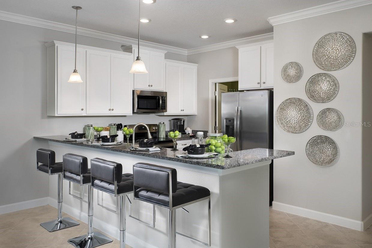 32112 Powderpuff Mimosa Dr Property Photo 5