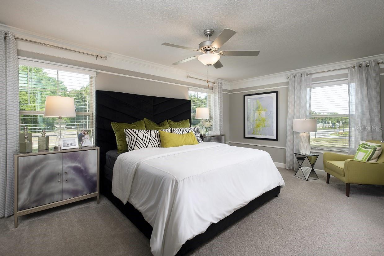 32112 Powderpuff Mimosa Dr Property Photo 7