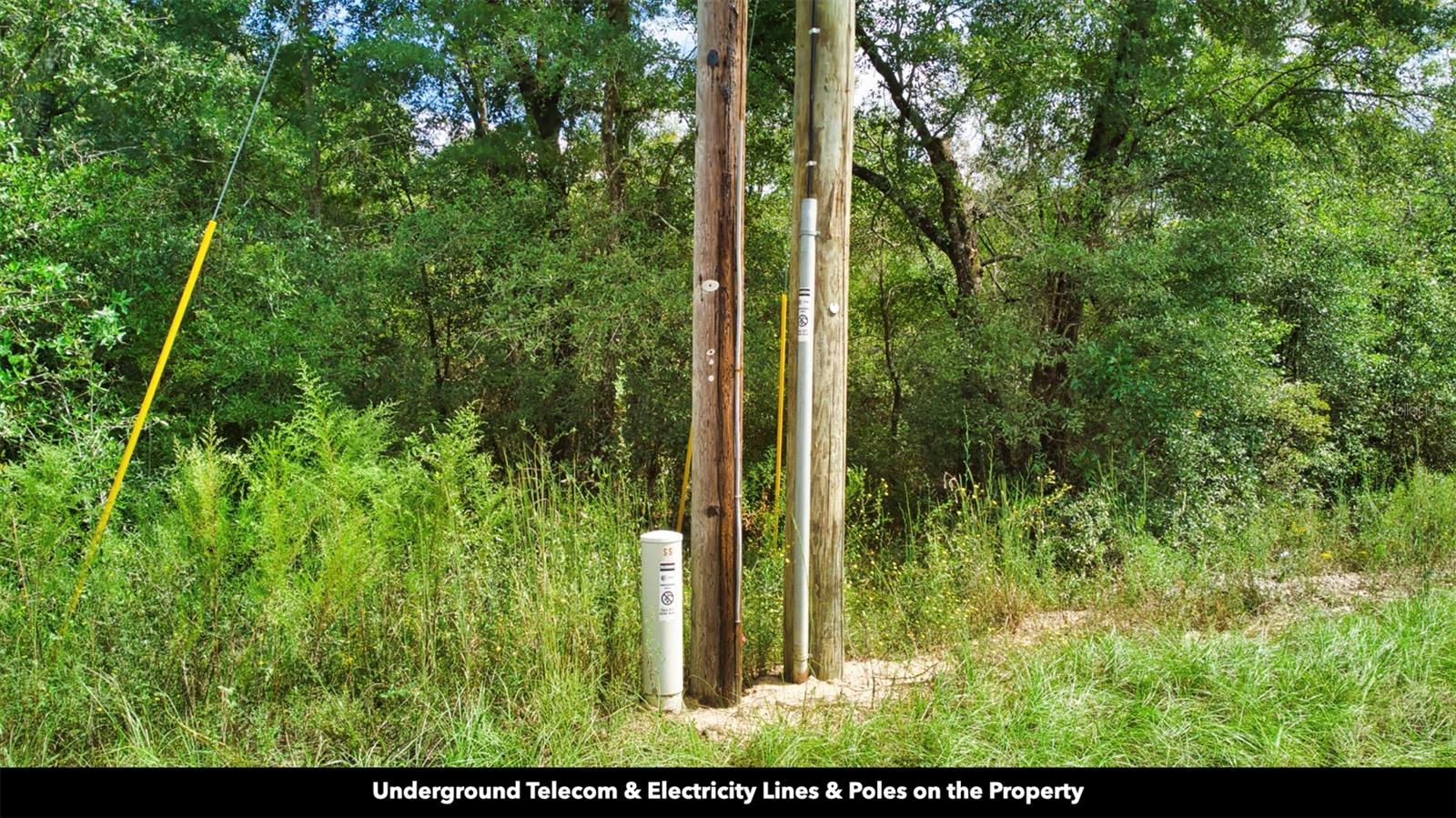 New Jerusalem Rd Property Photo 5