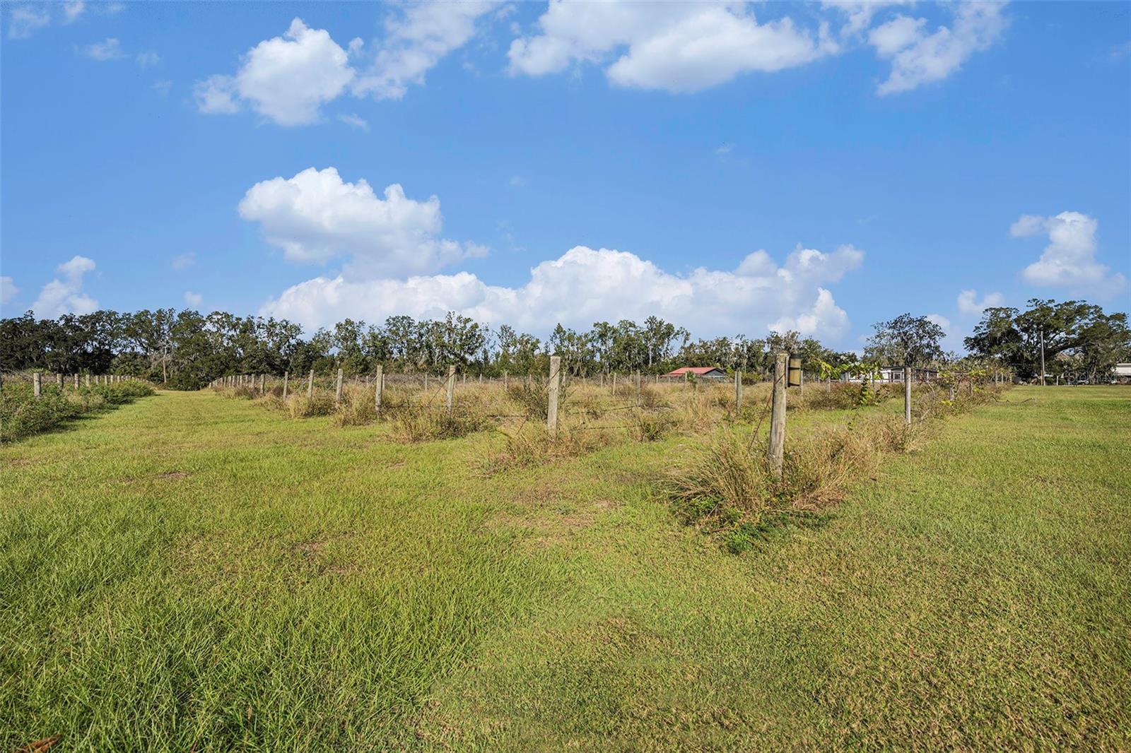 331 Lewis Rd Property Photo 55