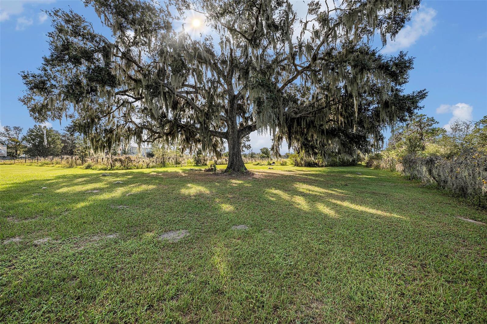 331 Lewis Rd Property Photo 58
