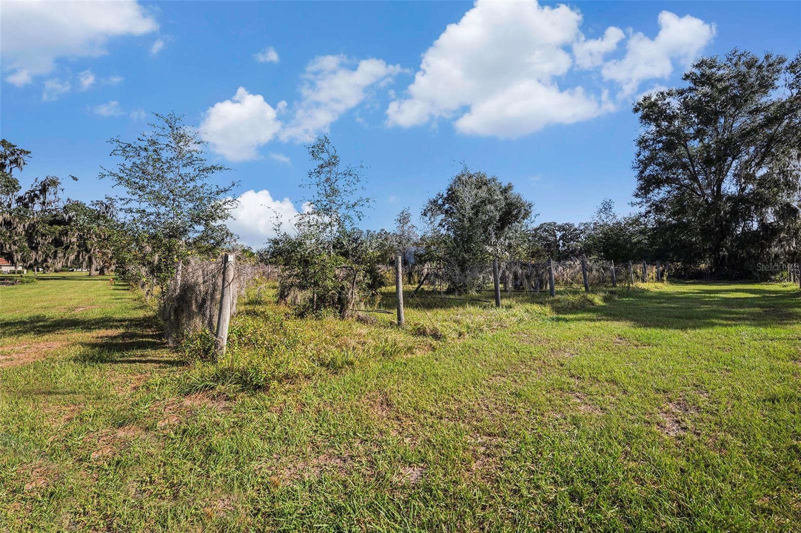 331 Lewis Rd Property Photo 59