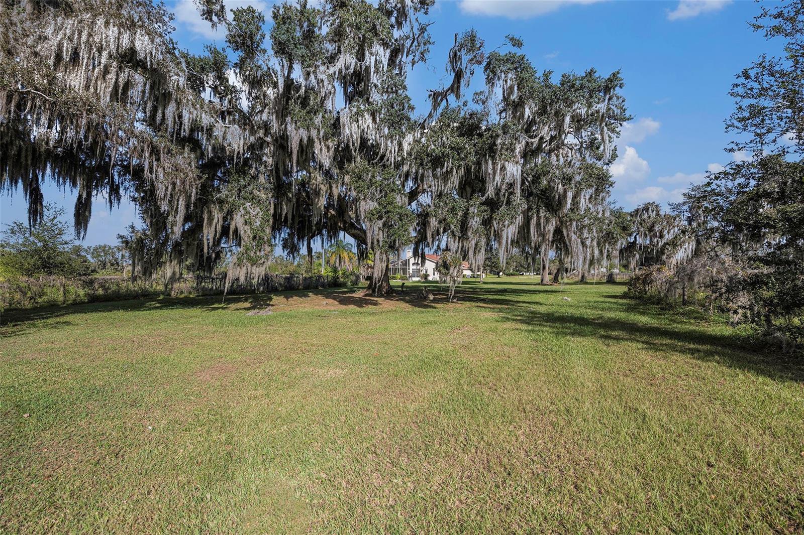 331 Lewis Rd Property Photo 61