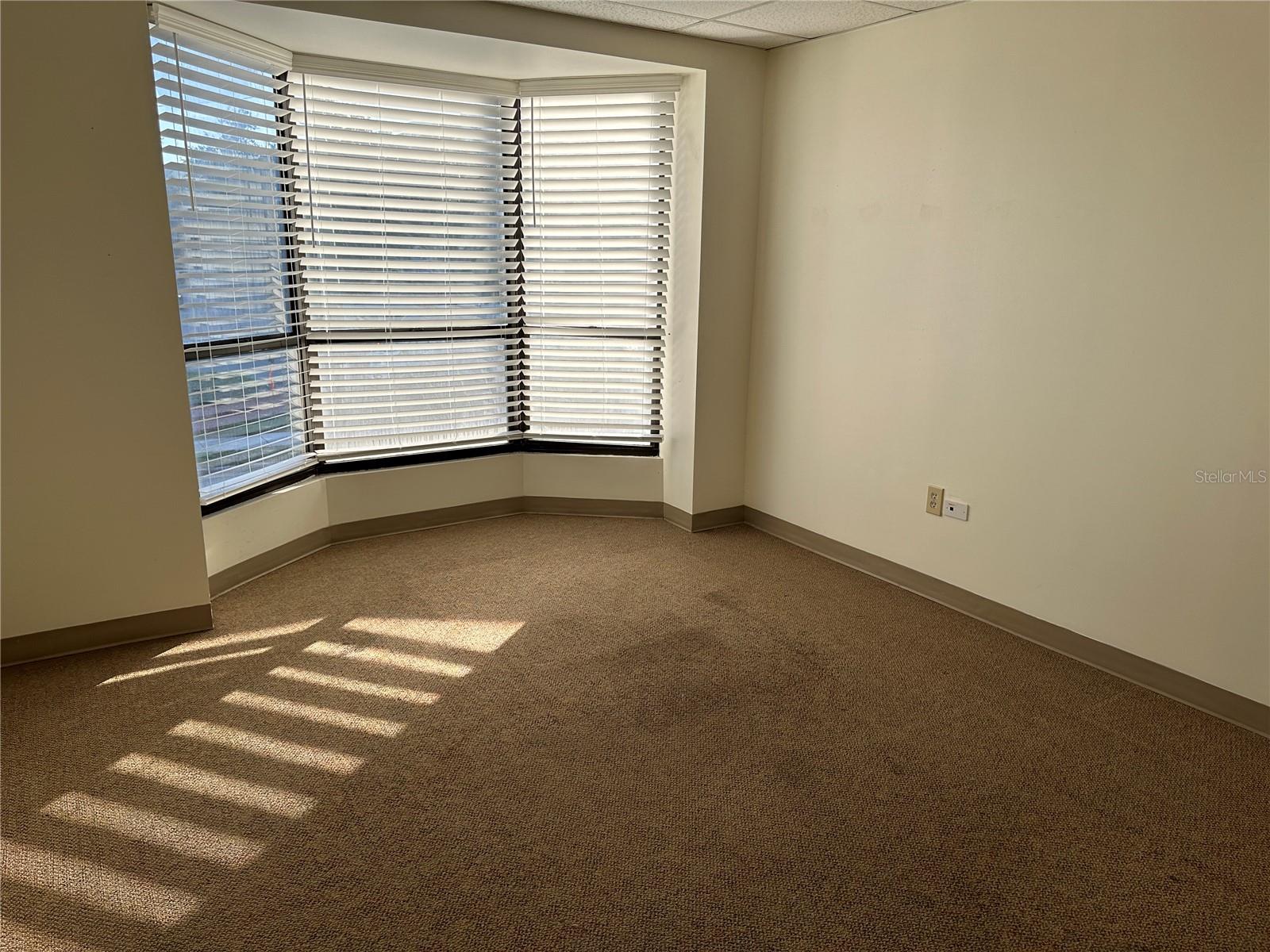 2111 W Swann Ave Property Photo 14