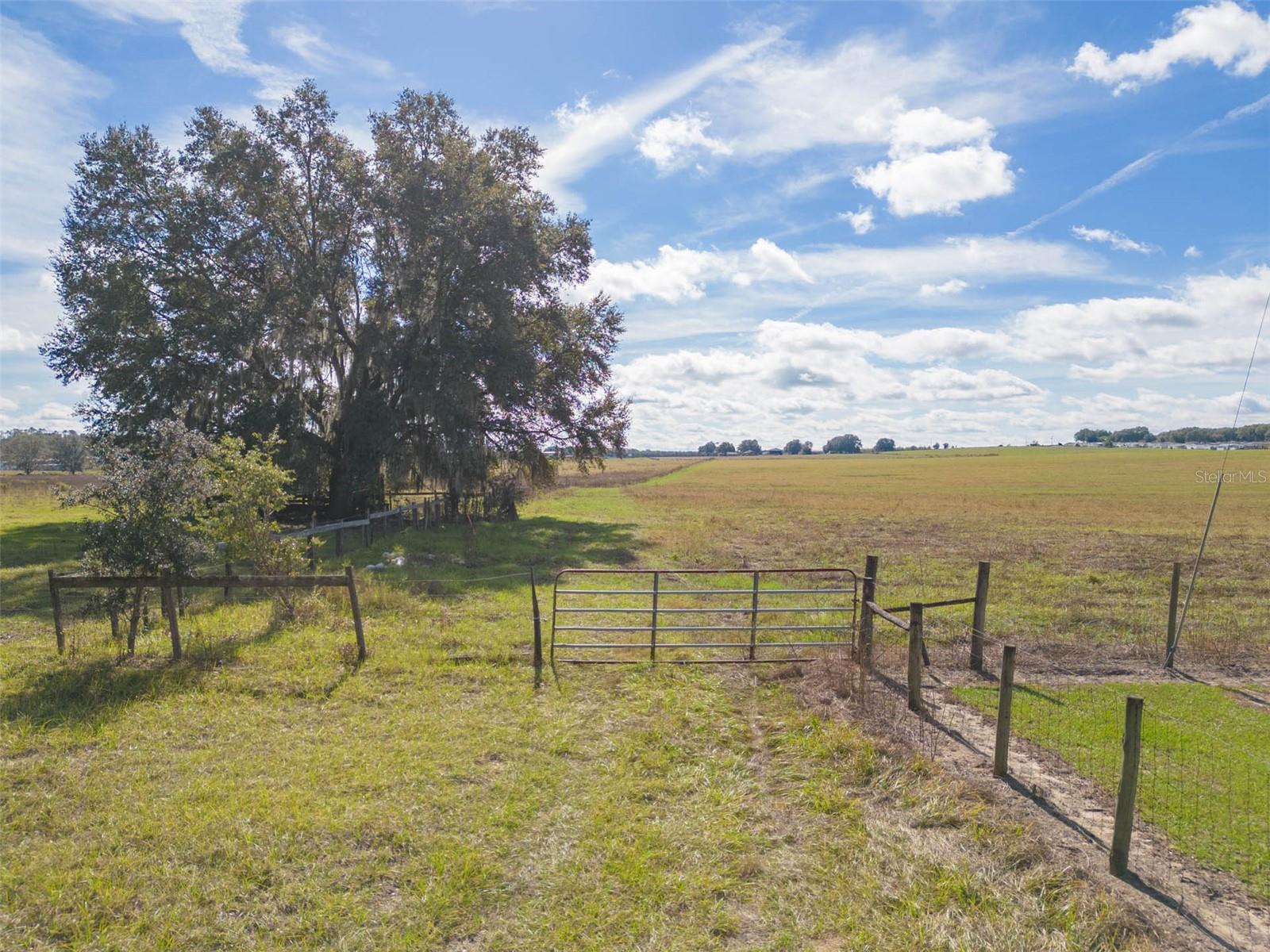 Bur Mac Rd Property Photo 18