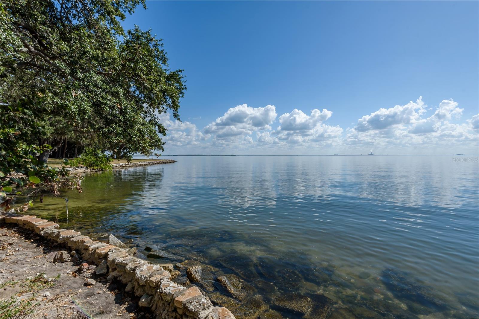 6210 Bayshore Blvd Property Photo 3