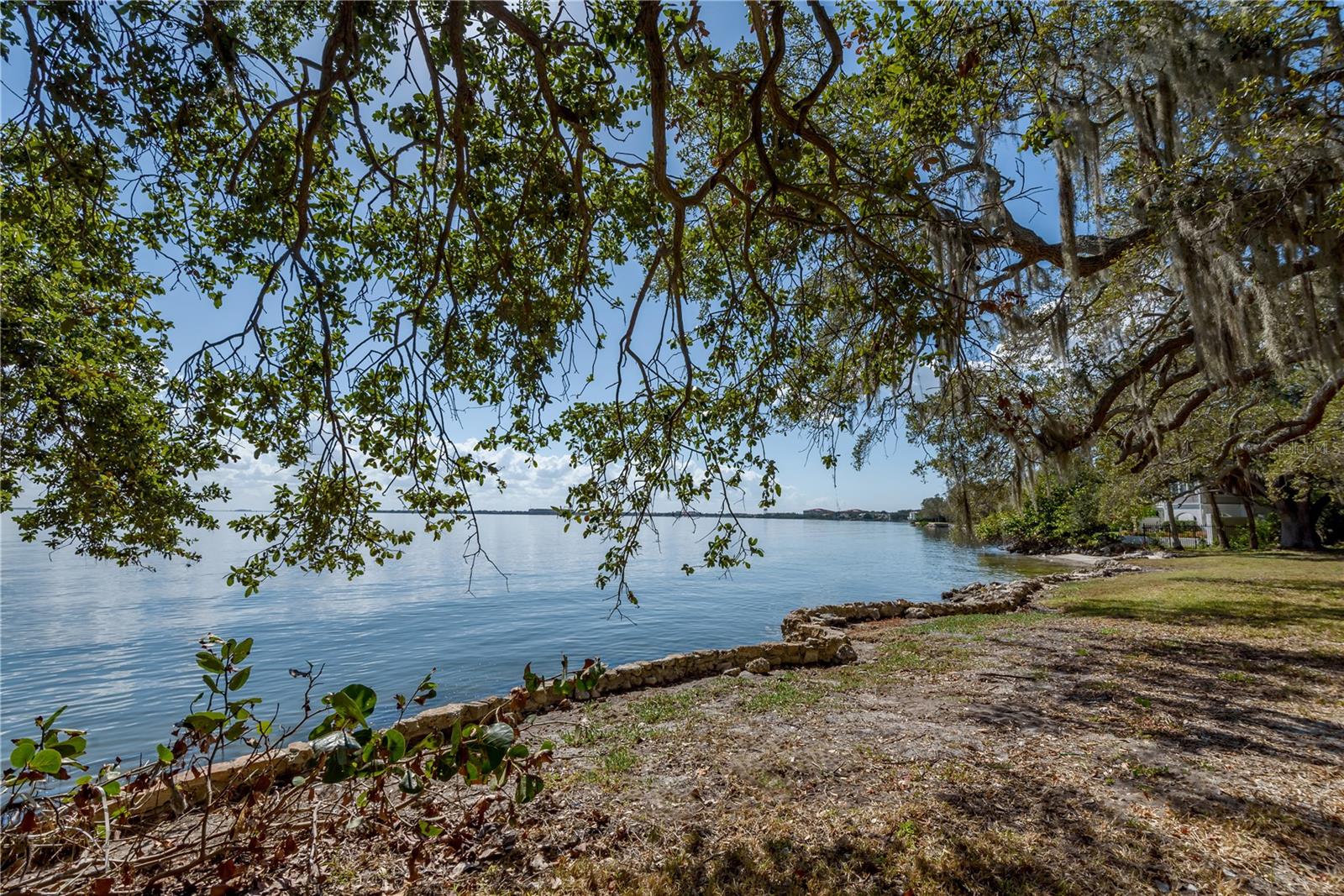 6210 Bayshore Blvd Property Photo 4