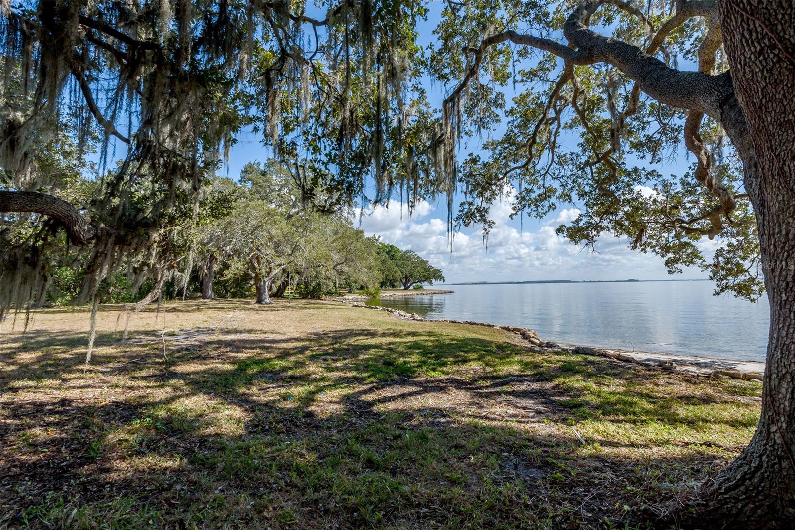 6210 Bayshore Blvd Property Photo 5