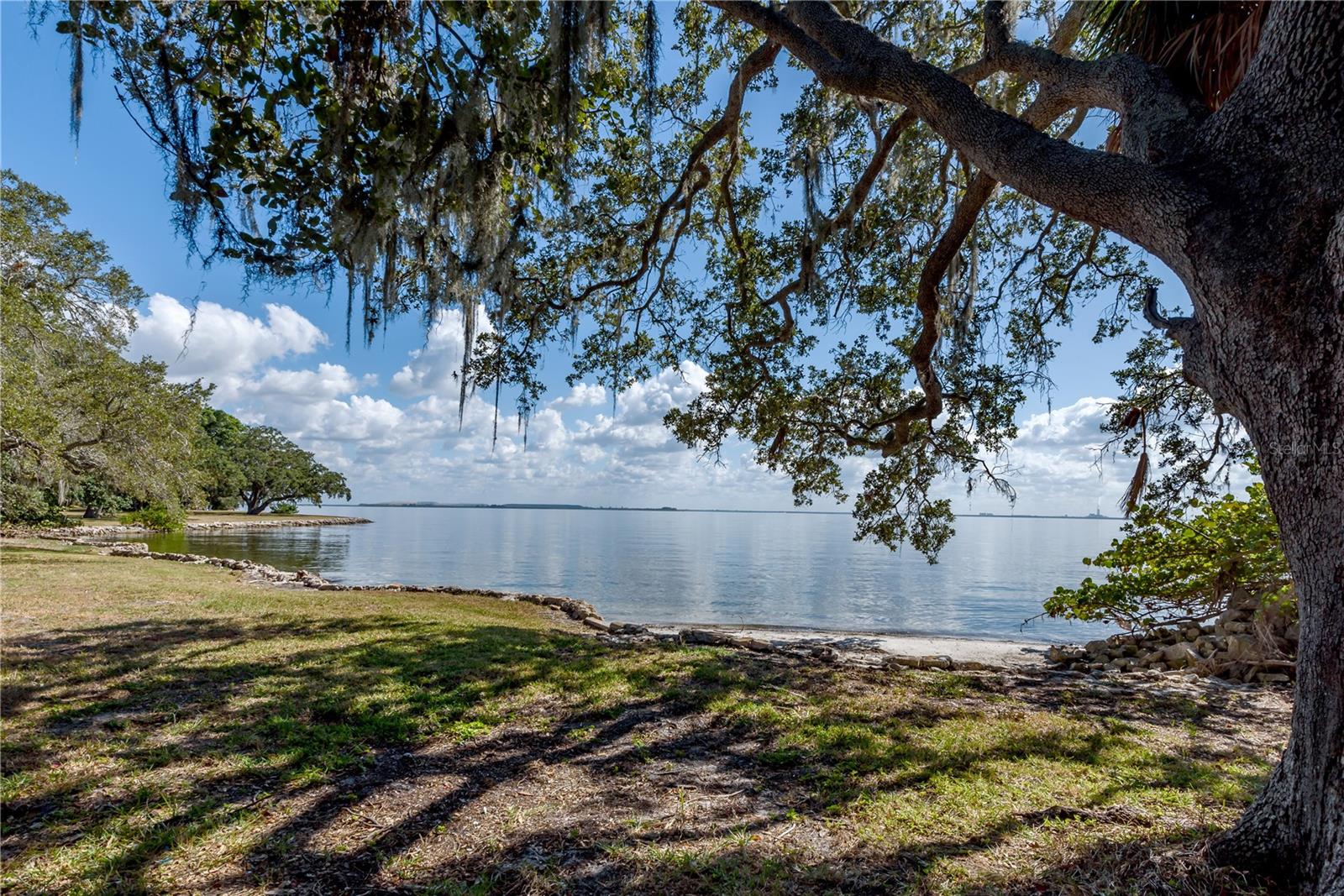6210 Bayshore Blvd Property Photo 6
