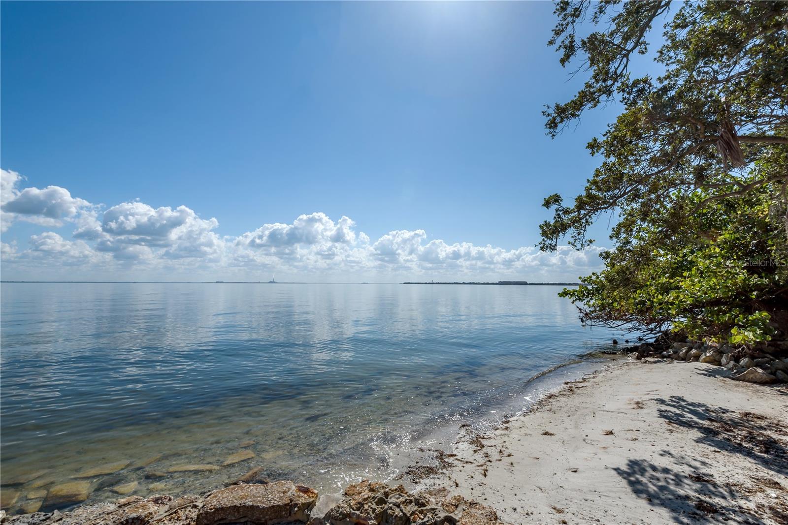 6210 Bayshore Blvd Property Photo 8