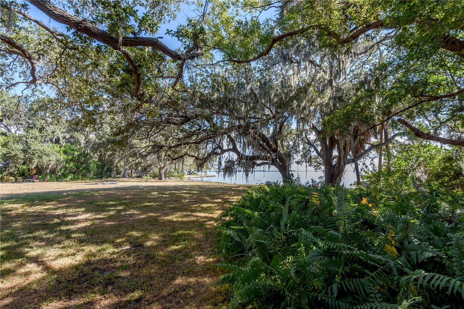 6210 Bayshore Blvd Property Photo 11
