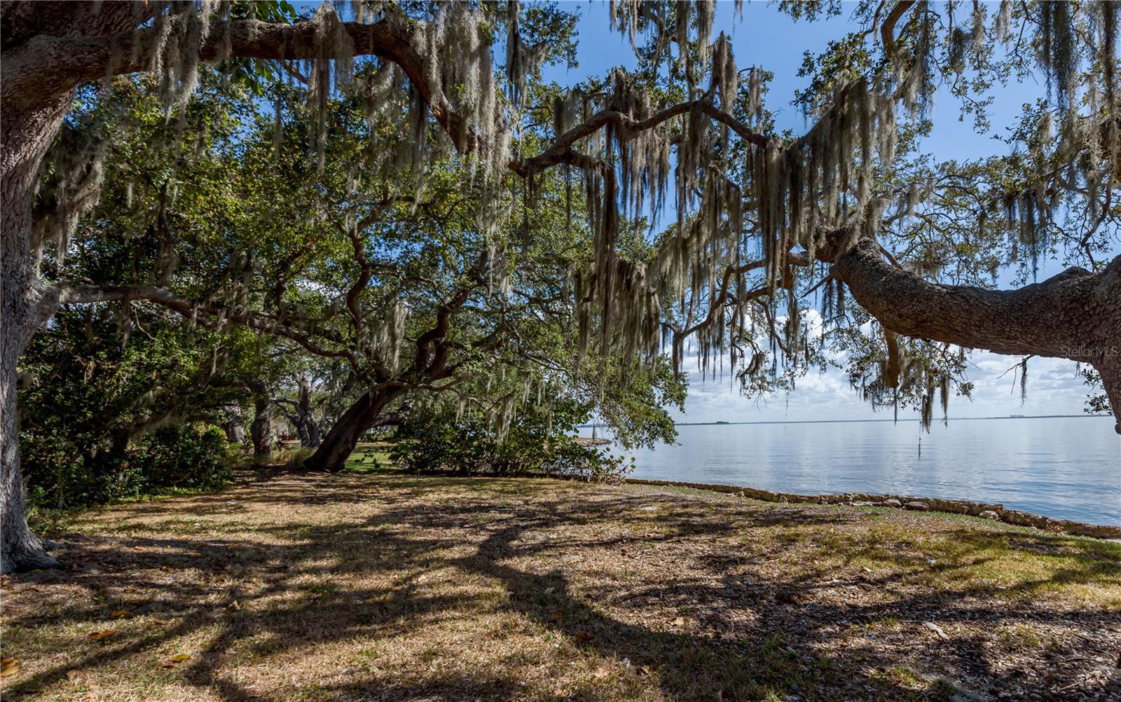 6210 Bayshore Blvd Property Photo 13