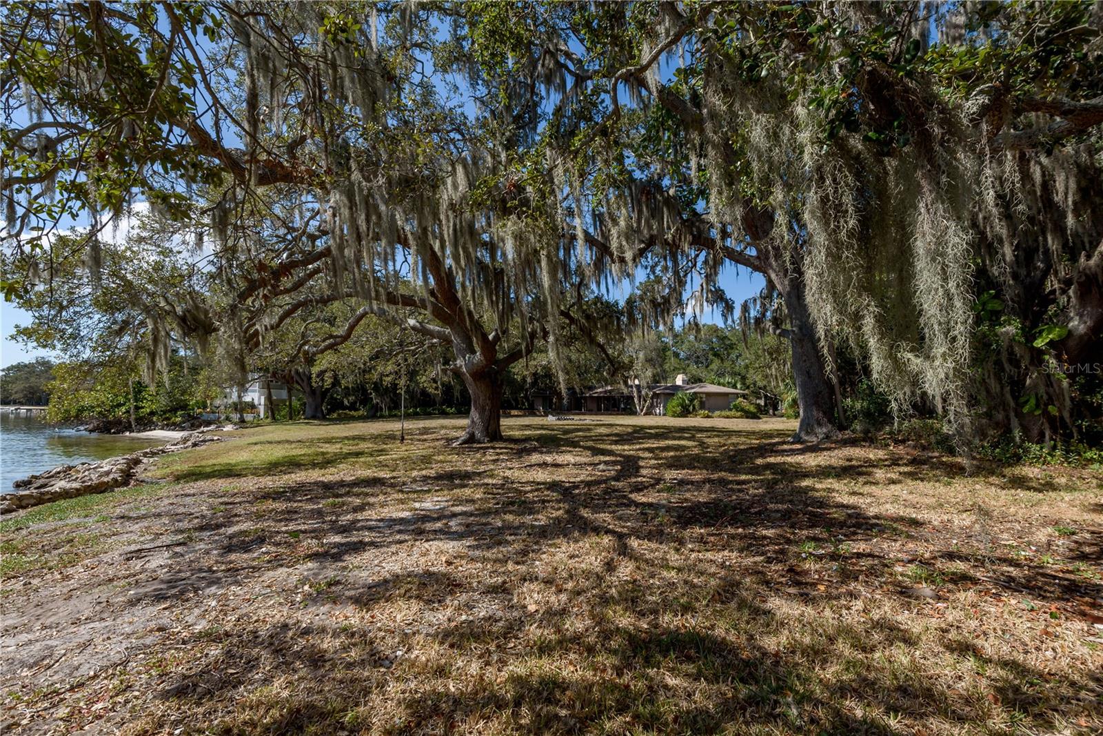 6210 Bayshore Blvd Property Photo 14