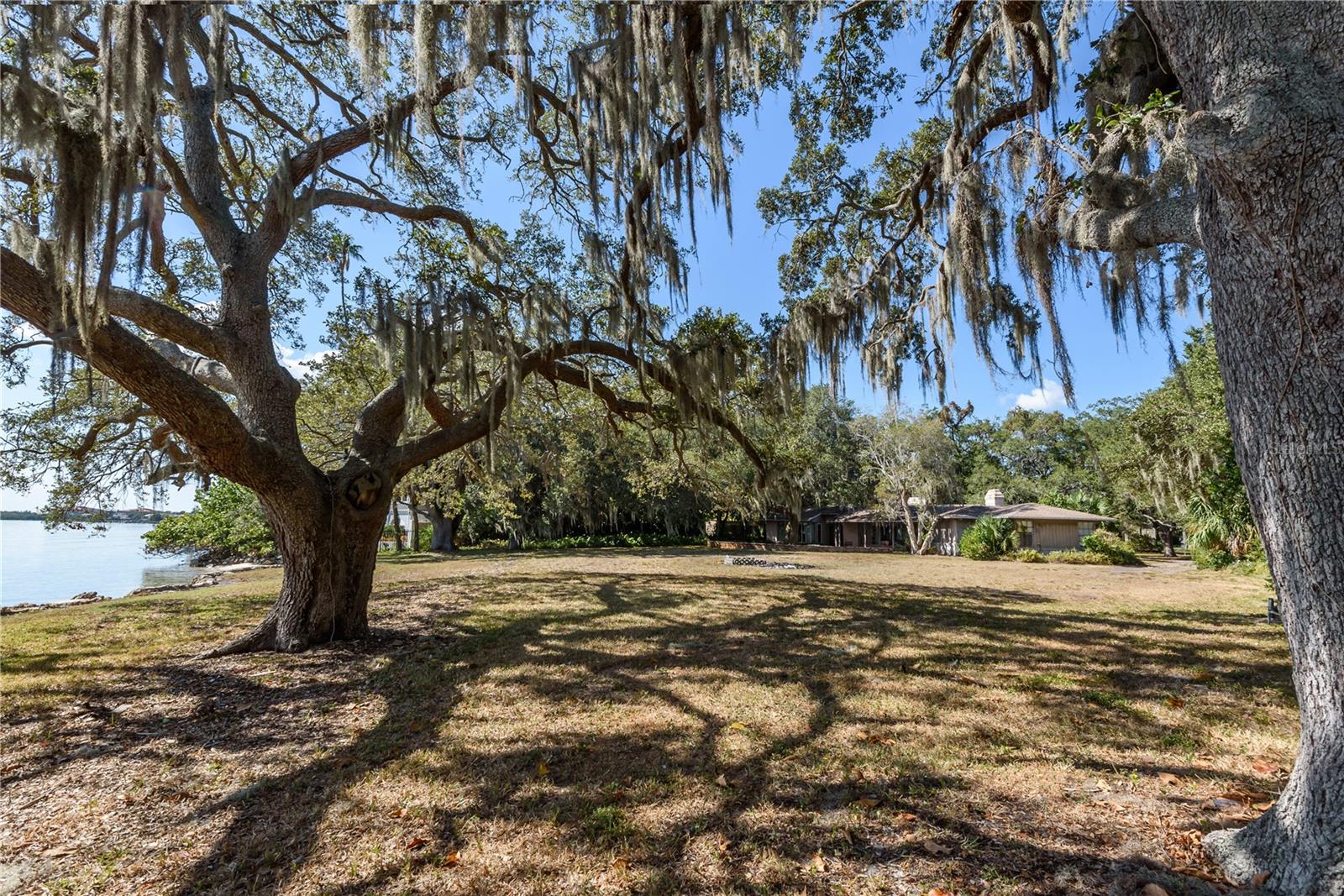 6210 Bayshore Blvd Property Photo 15