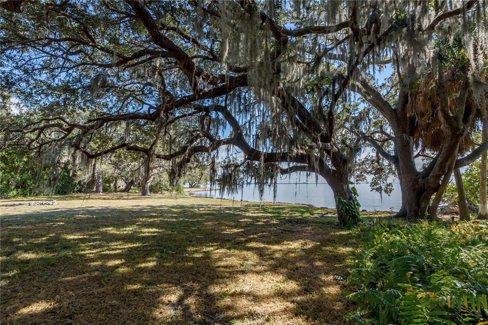 6210 Bayshore Blvd Property Photo 17