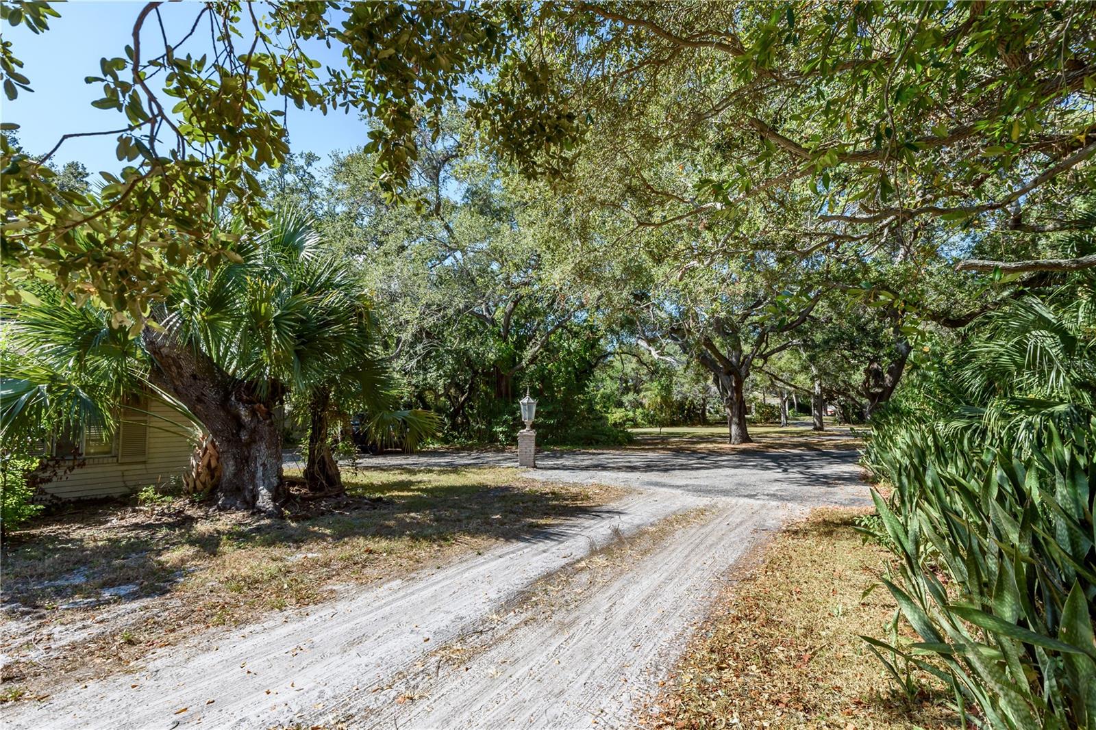 6210 Bayshore Blvd Property Photo 20